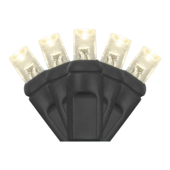 50-Light 5mm LED Concave Black Cord | Warm White