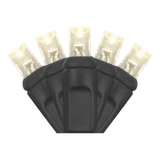 50-Light 5mm LED Concave Black Cord | Warm White